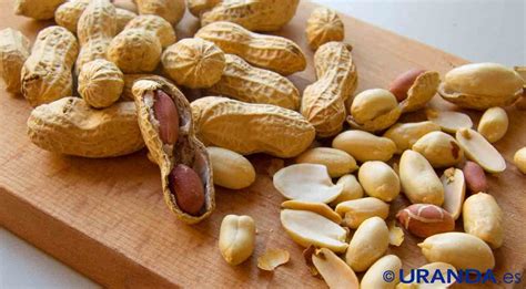 Maníes