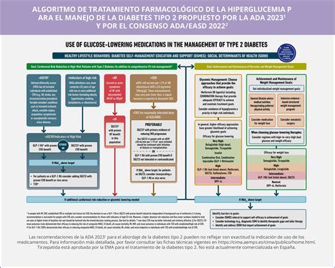 Manejo de la Diabetes Tipo 2