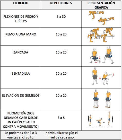 Mantenimiento Muscular