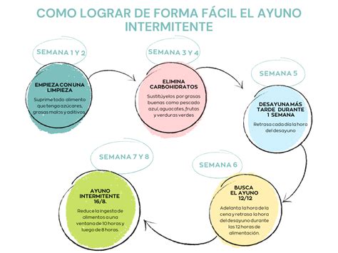 Mapa Mental del Ayuno Intermitente