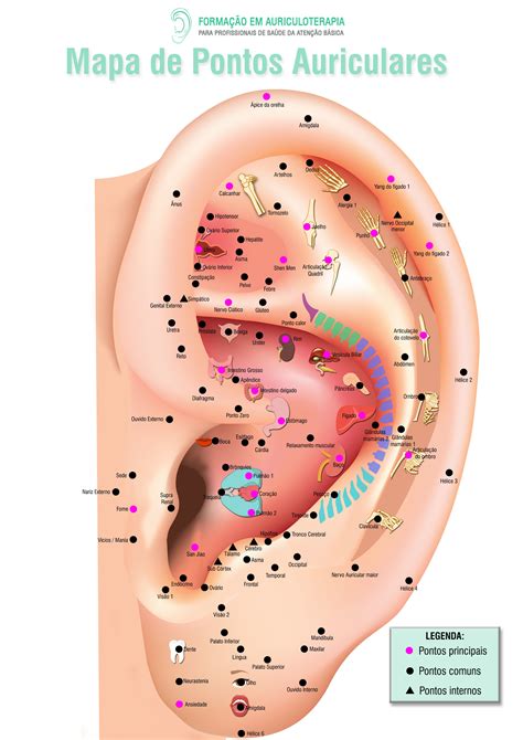 Mapa de Auriculoterapia