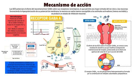 Mecanismo de acción de Rimonabant