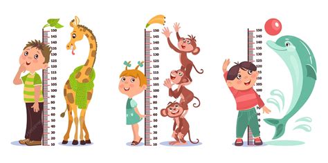 Medición de la altura de un niño