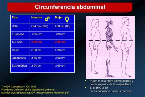 Medición de la circunferencia abdominal