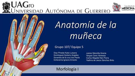 Medición de la muñeca