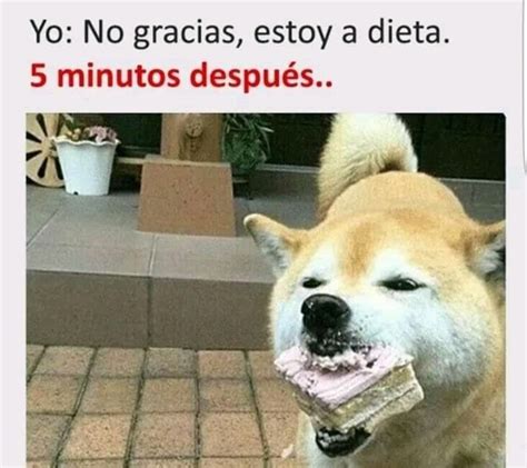 Meme gracioso sobre dietas
