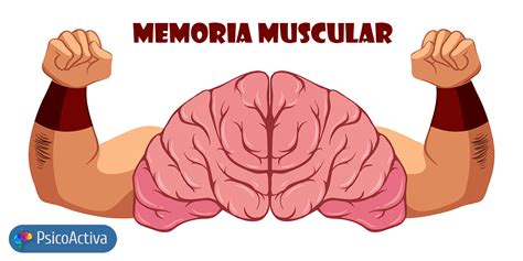 Memoria muscular