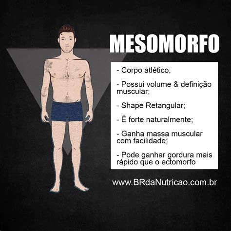 Mesomorfo