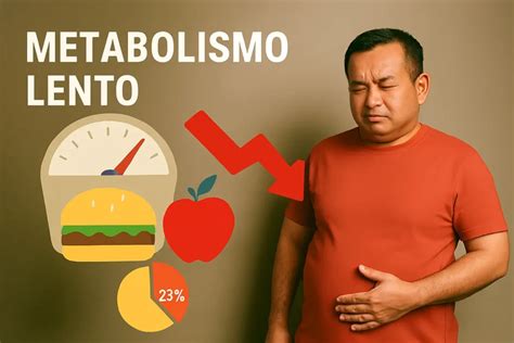 Metabolismo lento