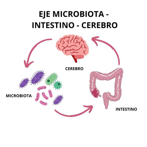 Microbioma Intestinal y Cerebro