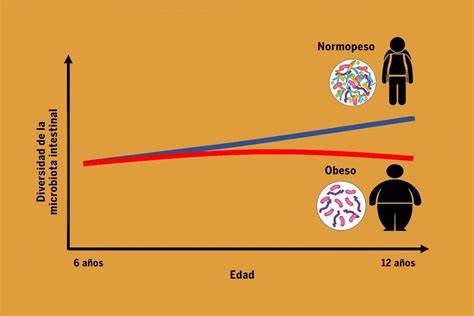 Microbiota Intestinal y Obesidad