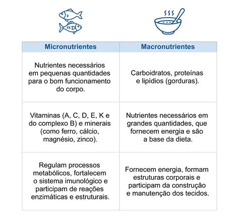 Micronutrientes
