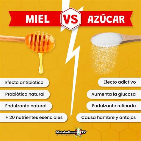Miel vs Azúcar