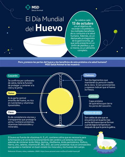 Mitos del Huevo