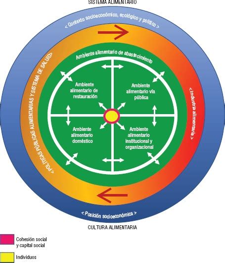 Modelo de los ambientes alimentarios en Chile