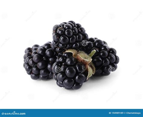 Moras frescas