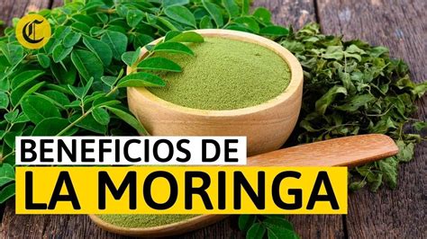 Moringa para adelgazar