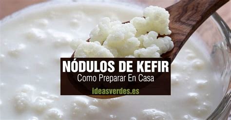 Nódulos de kéfir
