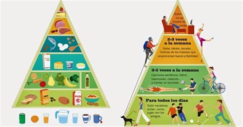 Necesidades nutricionales por edad