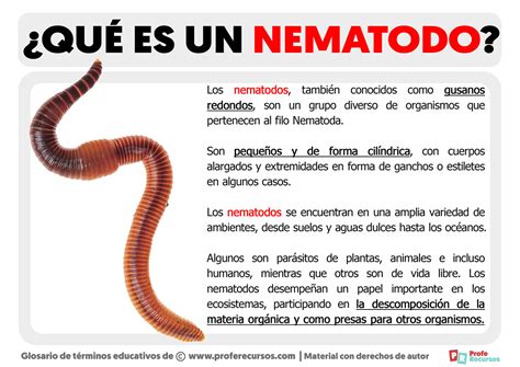 Nematodo