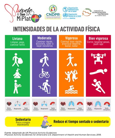 Niveles de Actividad Física