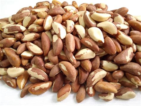Nueces de Brasil