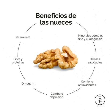 Nueces y la función cognitiva