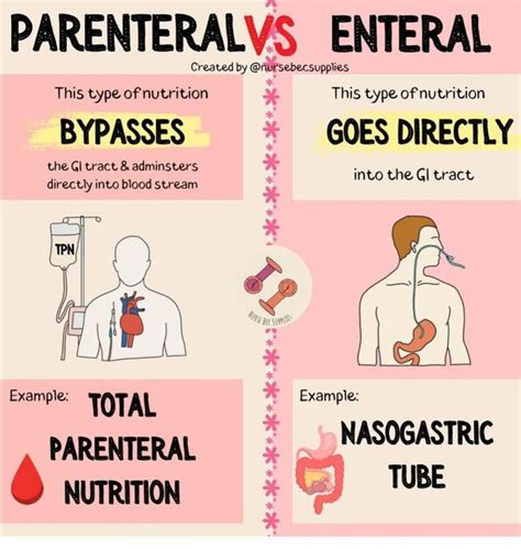 Nutrición Enteral vs. Parenteral