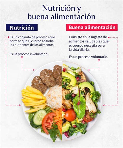 Nutrición Saludable
