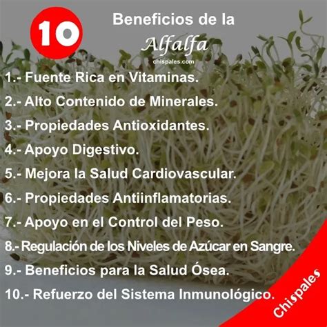 Nutrición de la Alfalfa