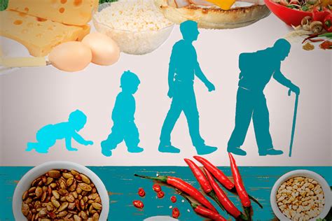 Nutrición en el Envejecimiento