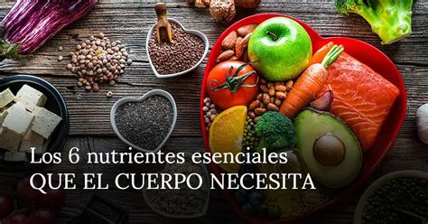 Nutrientes esenciales para corredores
