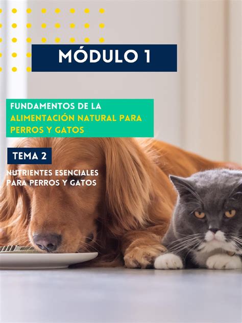 Nutrientes esenciales para perros y gatos