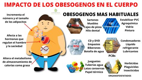 Obesógenos