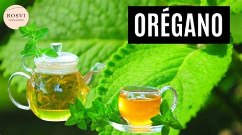 Orégano para adelgazar