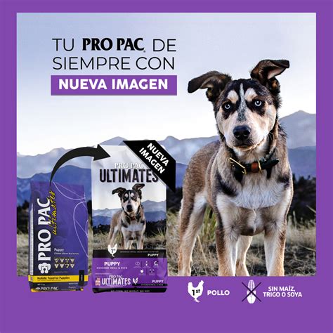 PRO PAC Comida para perros