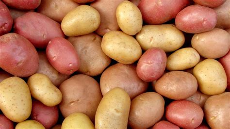 Papas variadas