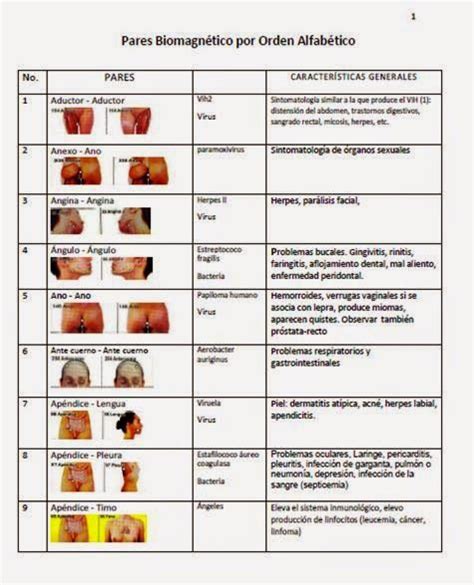 Pares biomagnéticos