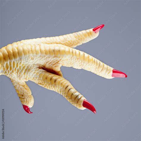 Pata de pollo