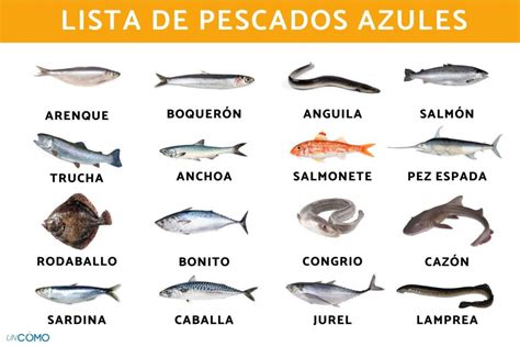 Pescado Azul