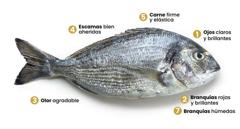 Pescado fresco