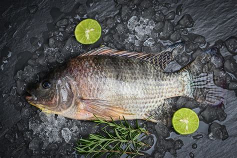 Pescado tilapia