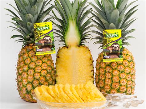 Piña fresca