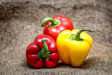 Pimiento Morrón
