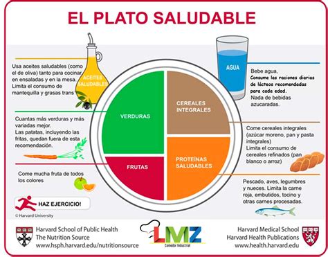 Plato de Harvard
