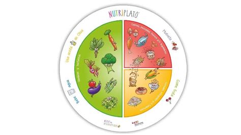 Plato de Harvard para Niños