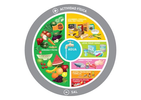 Plato de alimentación saludable