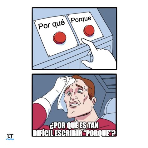 Por qué elegir CAMMYN
