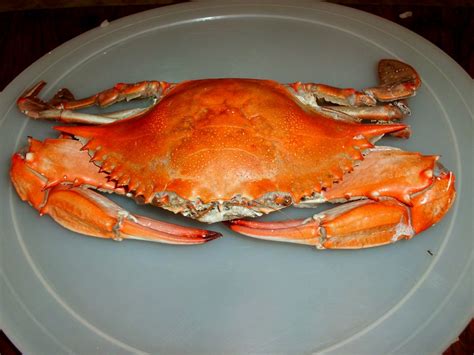 Preparación de jaibas