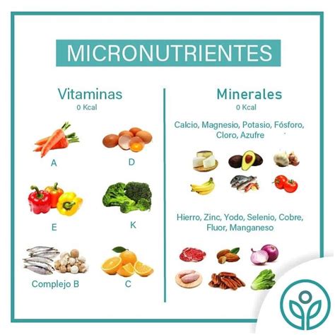 Preservar los Micronutrientes al Cocinar